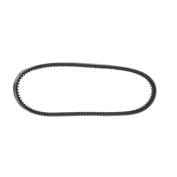 Correia trapezoidal 13A0850C DAYCO ROVER 2000-3500 Hatchback (SD1) 3.5 Vitesse 1984 193 cv
