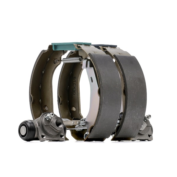 Kit frenos, disco de tambor 3859B0232 RIDEX RENAULT Twingo I Hatchback 1.2 LPG 2004 60 cv