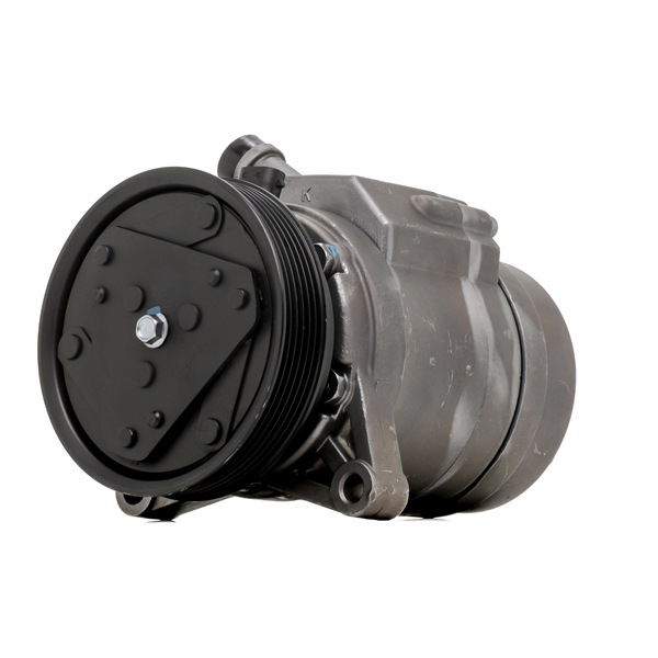 Número OEM 48 13 544 - Compresor, aire acondicionado 447K0307R OPEL, HONDA, CHEVROLET, DAEWOO, VAUXHALL