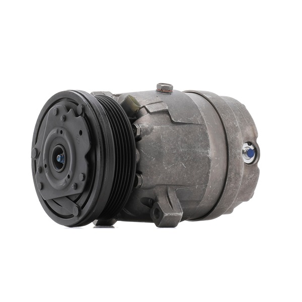 OEM-nummer 96442926 - Aircopomp 447K1070R FORD, CHEVROLET, DAEWOO, HOLDEN
