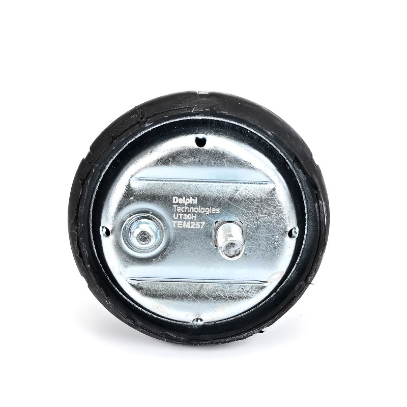 TEM257 DELPHI 22111095444 Engine mount