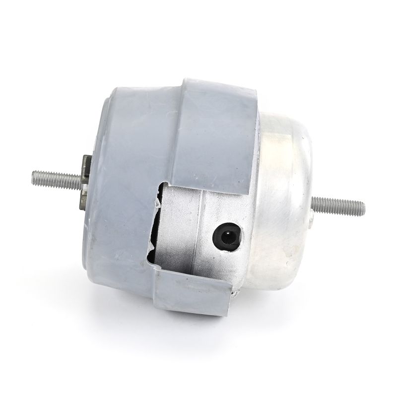 Supporto motore TEM288 DELPHI AUDI A4 B6/B7 Cabrio (8H7, 8HE) 1.8 T 2004 163 CV