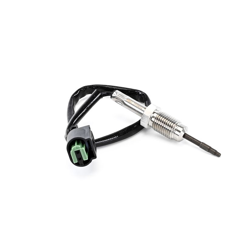 DELPHI TS30042-12B1 Abgastemperatursensor BMW E39