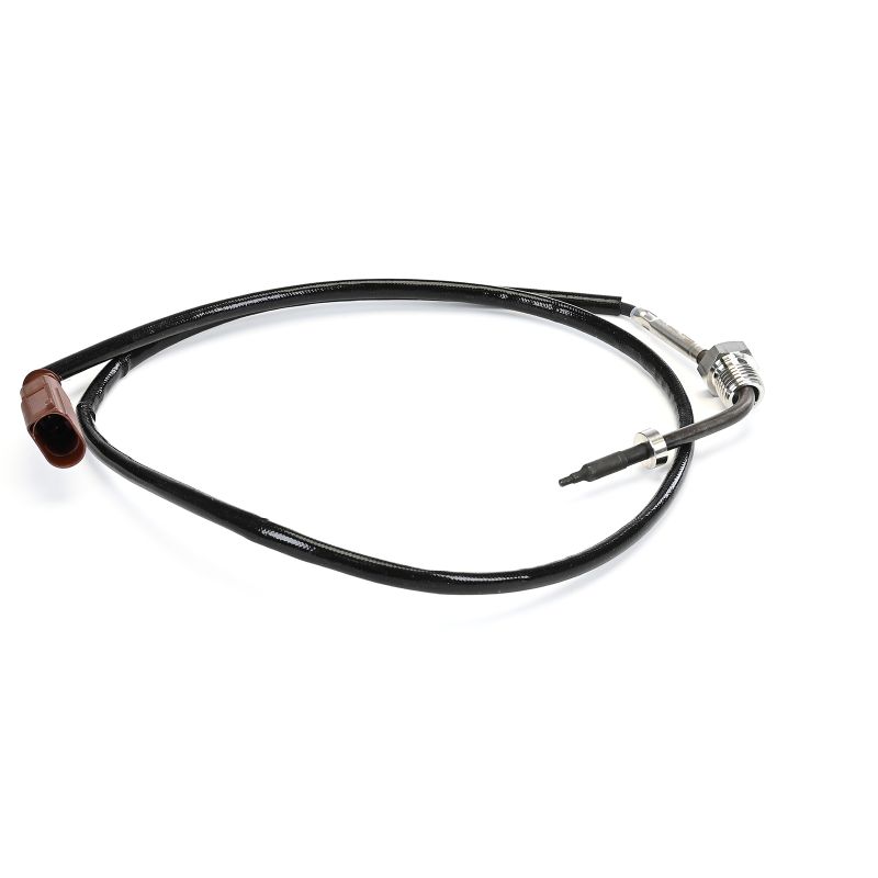 DELPHI | Sensor udstødningsgastemperatur TS30409-12B1 SKODA Scala Hatchback 2020 billig online