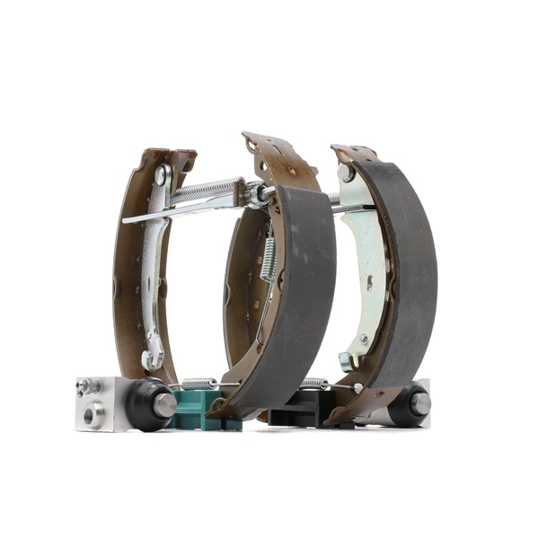 Kit frenos, disco de tambor 3859B0295 RIDEX PEUGEOT 206 Hatchback (2A/C) 1.4 Flex 2008 82 cv