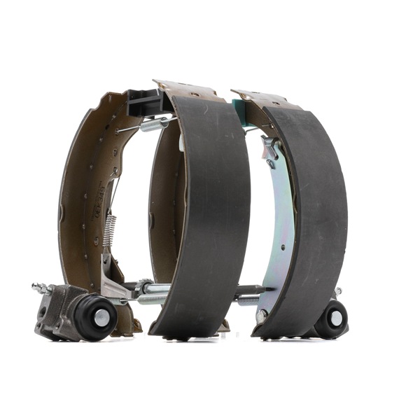 RIDEX 3859B0310 drum brake FIAT Ducato II Platform/Chassis (230) 1.9 TD CAT 80hp 1995