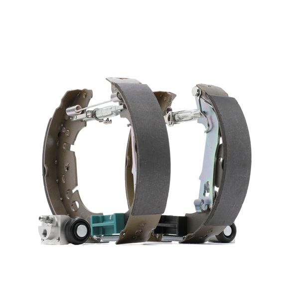 RIDEX 3859B0313 brake shoes FIAT Punto III Hatchback (199) 1.2 (199AYL1A, 199BYL1A) 67hp 2015