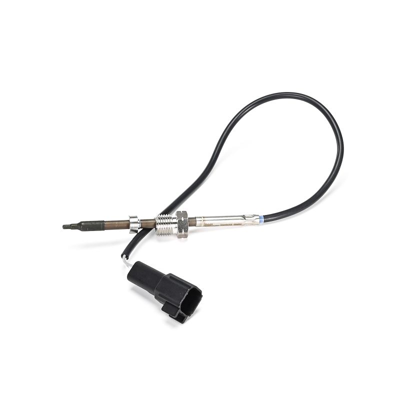 DELPHI | Sensor Udstødningsgastemperatur TS30413-12B1 FORD C-Max II (DXA/CB7, DXA/CEU) 2014 billig online