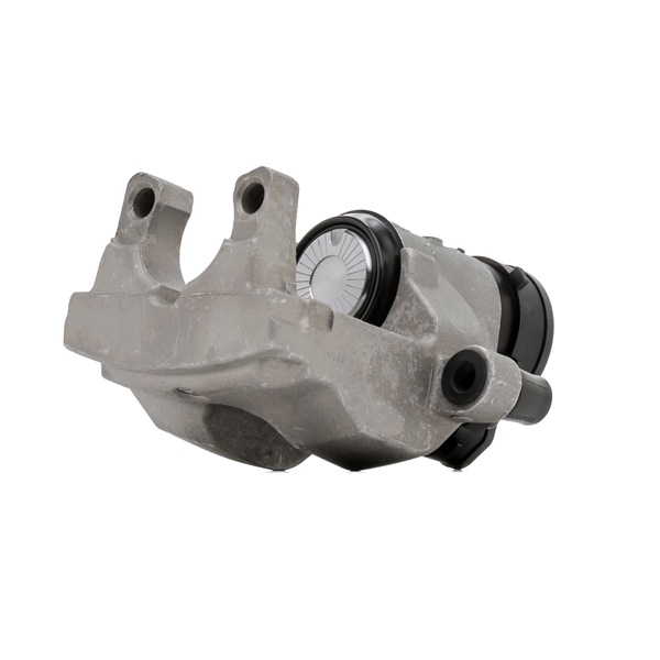 acheter RIDEX REMAN (78B2311R) Étrier de frein