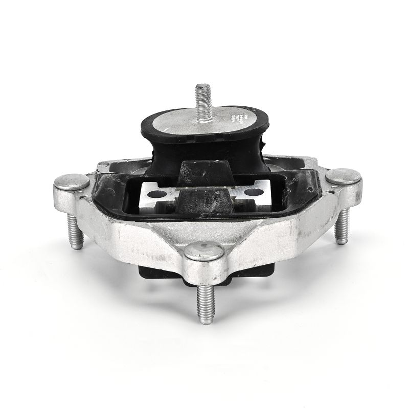DELPHI Getriebelager hinten TEM275 41,36 € online erwerben