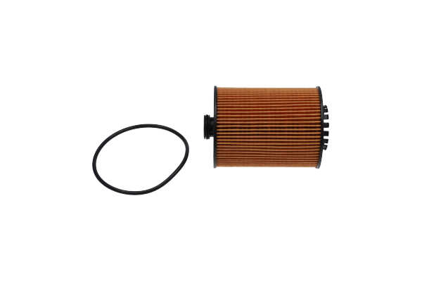 Numero OEM 03H 115 562 - Filtro olio FOF-10154 AUDI, SEAT, SKODA, PORSCHE, CUPRA