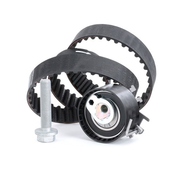 Kamremssats 530 0195 10 INA RENAULT Clio III Hatchback (BR0/1, CR0/1) 1.2 16V 2012 103 hk