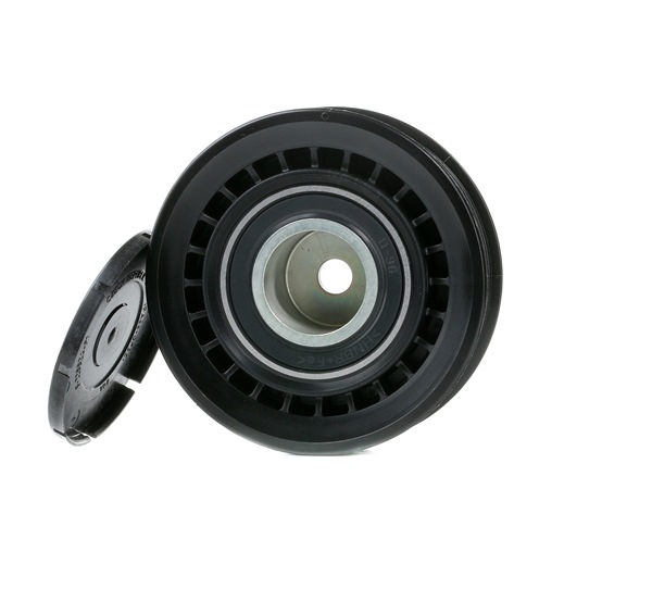 Rullo tenditore cinghia Poly-V 531 0733 10 INA Volkswagen Transporter T4 Van (70A, 70H, 7DA, 7DH) 2.5 1997 115 CV