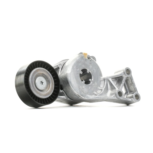 INA | Spannarm 533 0076 30 VW Passat B6 Variant (3C5) 2010 günstig online