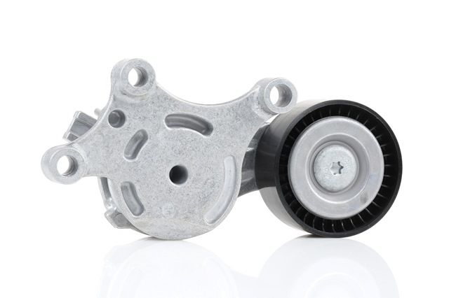 INA 534 0075 20 Peugeot 508 SW drive belt tensioner replacement cost
