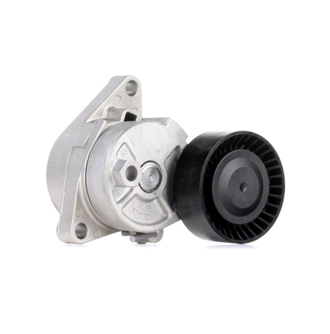INA Galet tendeur 534 0104 10 46,23 € acheter en ligne