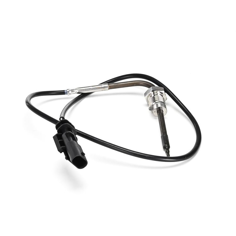DELPHI TS30389-12B1 exhaust gas temperature sensor FIAT Doblo II Platform/Chassis (263) 1.3 D Multijet (263HXU1A, 263YXU1A, 263HYB1A, 263YYB1A) 95hp 2021