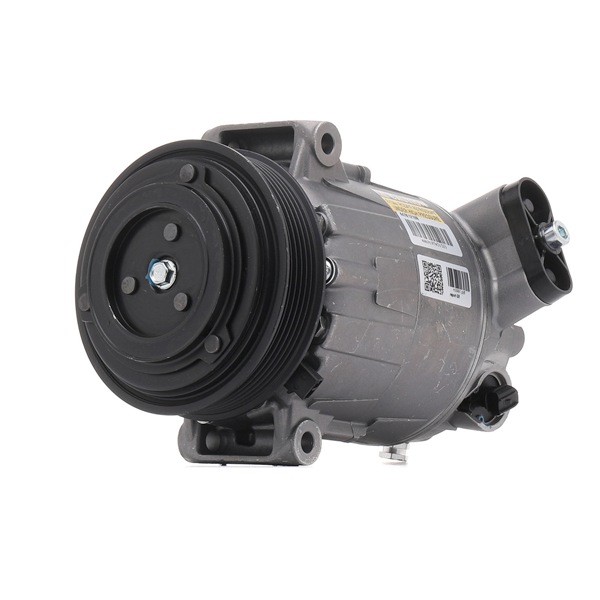 OEM-nummer 302 711 - Aircopomp 447K1219R MASERATI