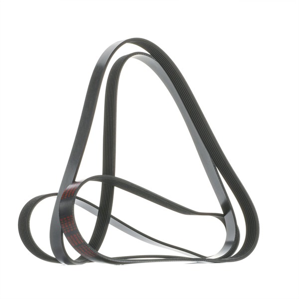 272875 MAPCO YC1E6C301DB Serpentine belt