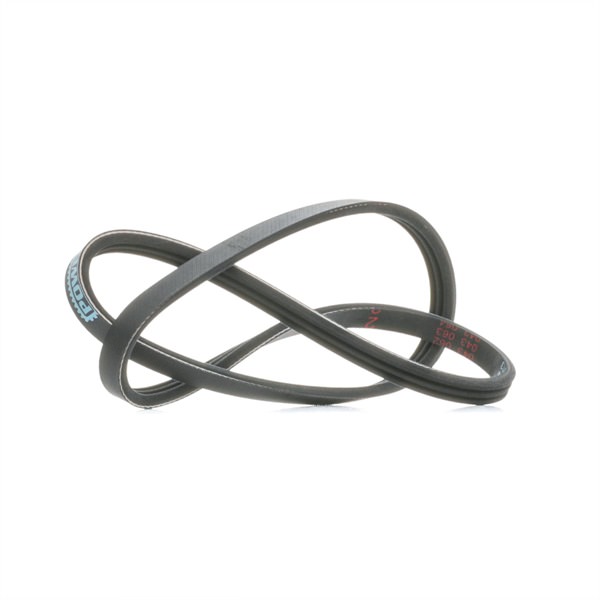 Número OEM 11950 V7301 - Correa trapecial poli V 230835 FORD, NISSAN, TOYOTA, AC
