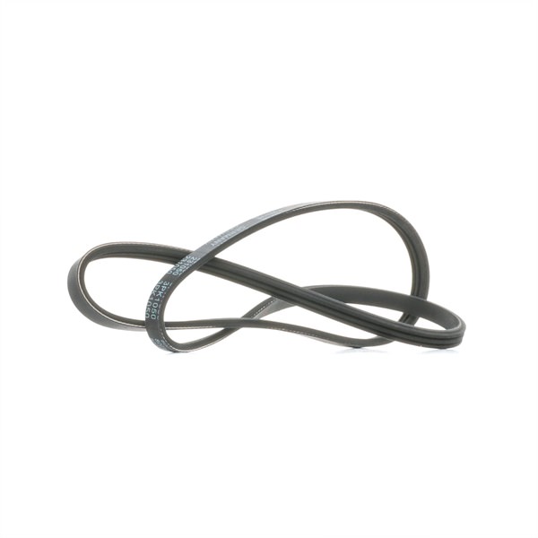 Cinghia servizi 231050 MAPCO RENAULT Clio II Hatchback (BB, CB) 1.6 (B/CB0D, BB00) 2000 90 CV