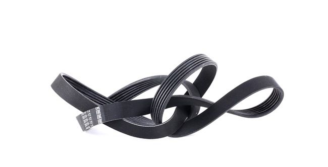 Correia trapezoidal estriada 1 987 948 425 BOSCH FORD Focus C-Max (DM2) 1.8 TDCi 2007 115 cv