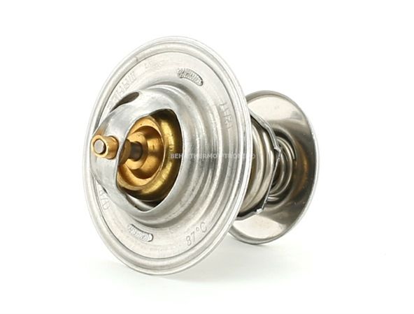 BEHR THERMOT-TRONIK TX 15 87D thermostat Volkswagen Transporter T4 Minibus (70B, 70C, 7DB, 7DK, 70J, 70K, 7DC, 7DJ) 1.9 D 61CV 1991