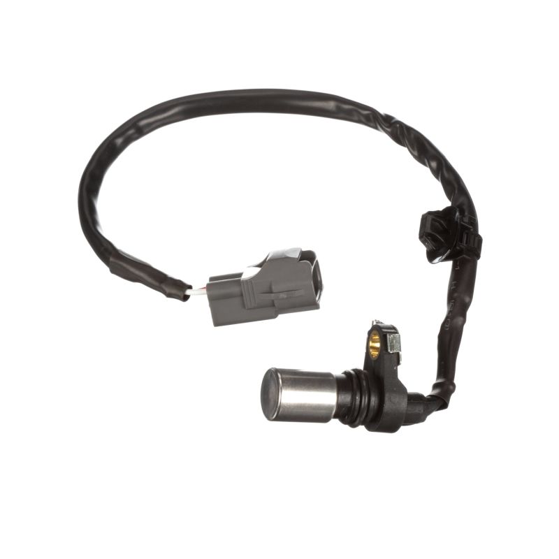 DELPHI SS10901 Crankshaft sensor TOYOTA RAV 4 III (ACA3_, ACE_, ALA3_, GSA3_, ZSA3_) 2.4 4WD 170 hp Petrol 2008