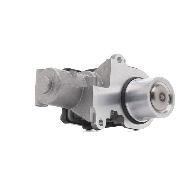 Touareg (7P5, 7P6): EGR valve from PIERBURG