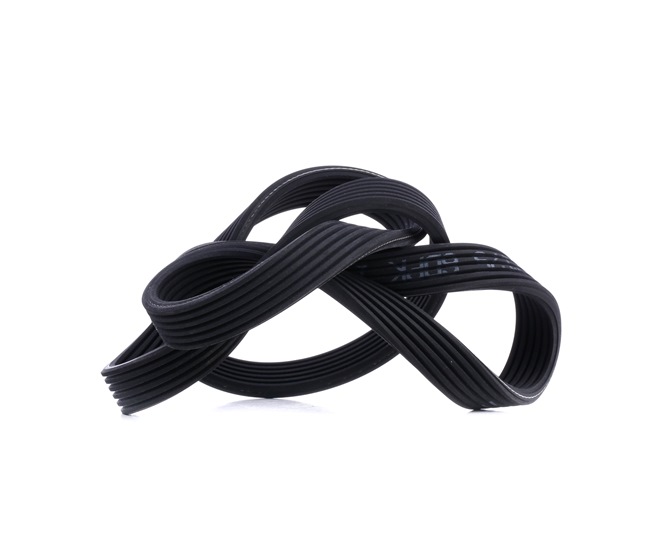 FEBI BILSTEIN 37651 serpentine belt SEAT Alhambra I (7V8, 7V9) 2.8 V6 204hp 2005