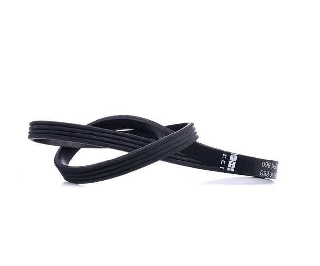 Correia trapezoidal estriada 38443 FEBI BILSTEIN BMW X3 (E83) 3.0 d 2005 218 cv