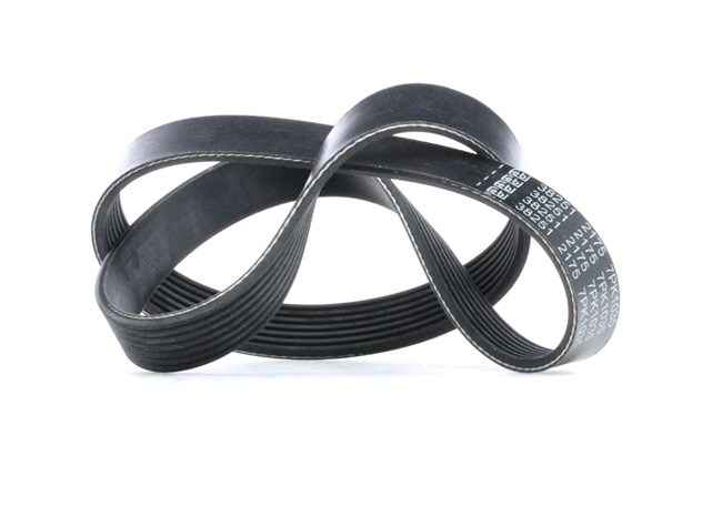 Número OEM 11720 3WS0B - Correia trapezoidal estriada 38251 NISSAN, INFINITI
