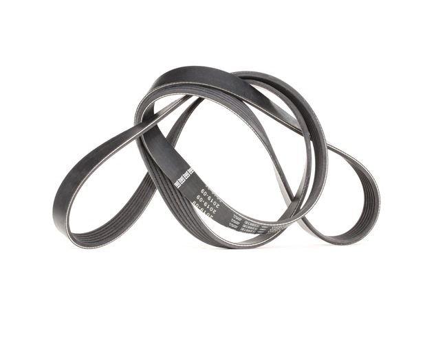 BOSCH | Correia trapezoidal estriada 1 987 946 080 FORD Ranger Mk2 (ER, EQ) 2002 baratos online