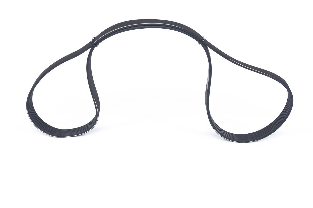 BOSCH | Correia serpentina 1 987 946 254 FORD Ranger Mk2 (ER, EQ) 2003 baratos online