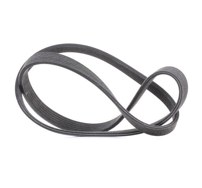DAYCO 6DPK1320 serpentine belt SEAT Alhambra I (7V8, 7V9) 2.8 V6 204hp 2006