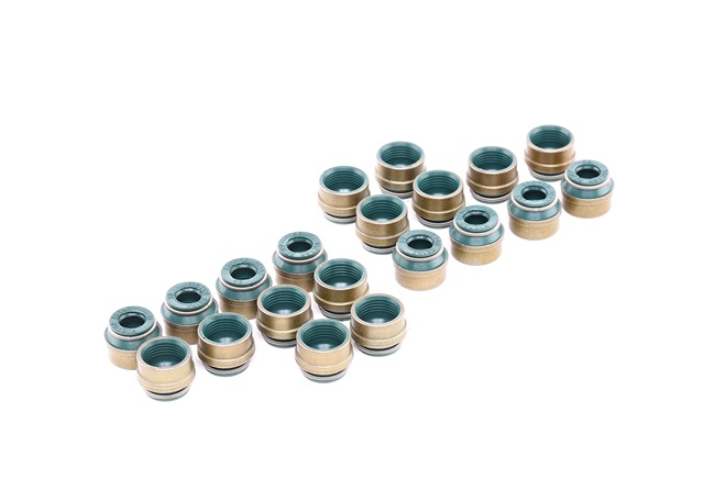 Kit guarnizioni, Stelo valvola 12-26058-04 REINZ Volkswagen Touareg I (7LA, 7L6, 7L7) 5.0 V10 TDI 2004 313 CV