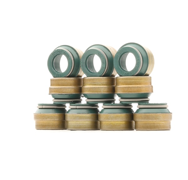 Kit guarnizioni, Stelo valvola 12-25837-02 REINZ Volkswagen Transporter T4 Bus (70B, 70C, 7DB, 7DK, 70J, 70K, 7DC, 7DJ) 2.5 1991 110 CV