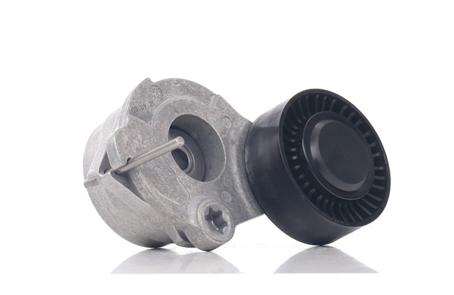 Tensioner Lever, v-ribbed belt 534 0470 10 INA 059 903 133 F AUDI, SKODA, SEAT