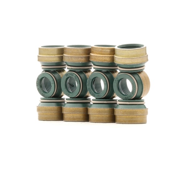 REINZ 12-25837-03 Dichtungssatz, Ventilschaft AUDI 80 Avant (8C5, B4) 2.8 174 PS Benzin 1992