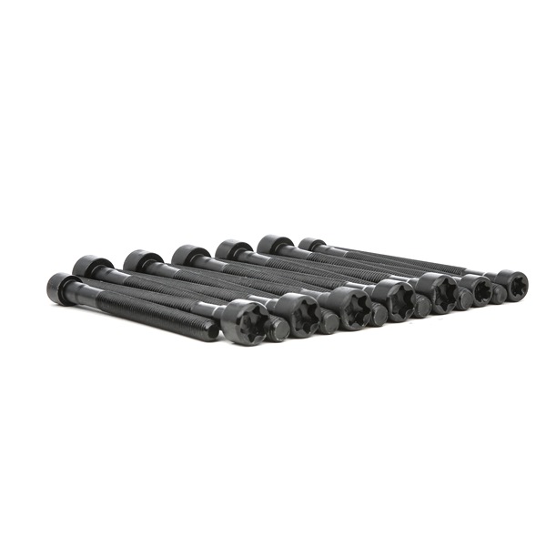 Cilinderkopbout 14-32315-01 REINZ BMW X3 (F25) xDrive 28 i 2012 258 Pk