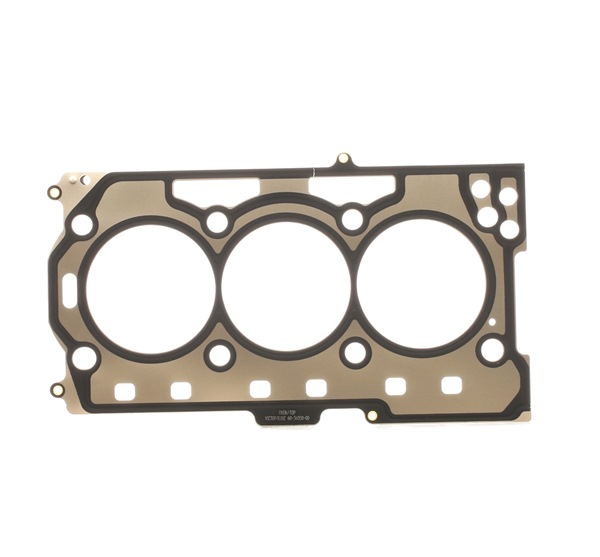 Toppakning 61-36050-00 REINZ VW Polo IV Hatchback (9N) 1.2 2006 54 HK
