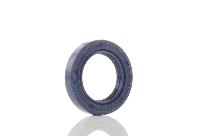 online REINZ Nockenwellendichtung 81-53224-00 Honda 4,67 € im Online-Shop kaufen