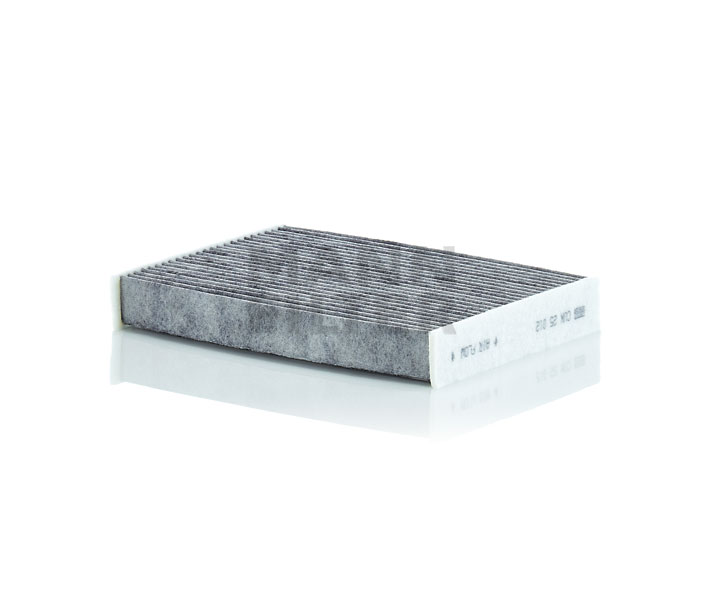 MANN-FILTER CUK 25 012 Renault Koleos 2 pollen filter replacement cost