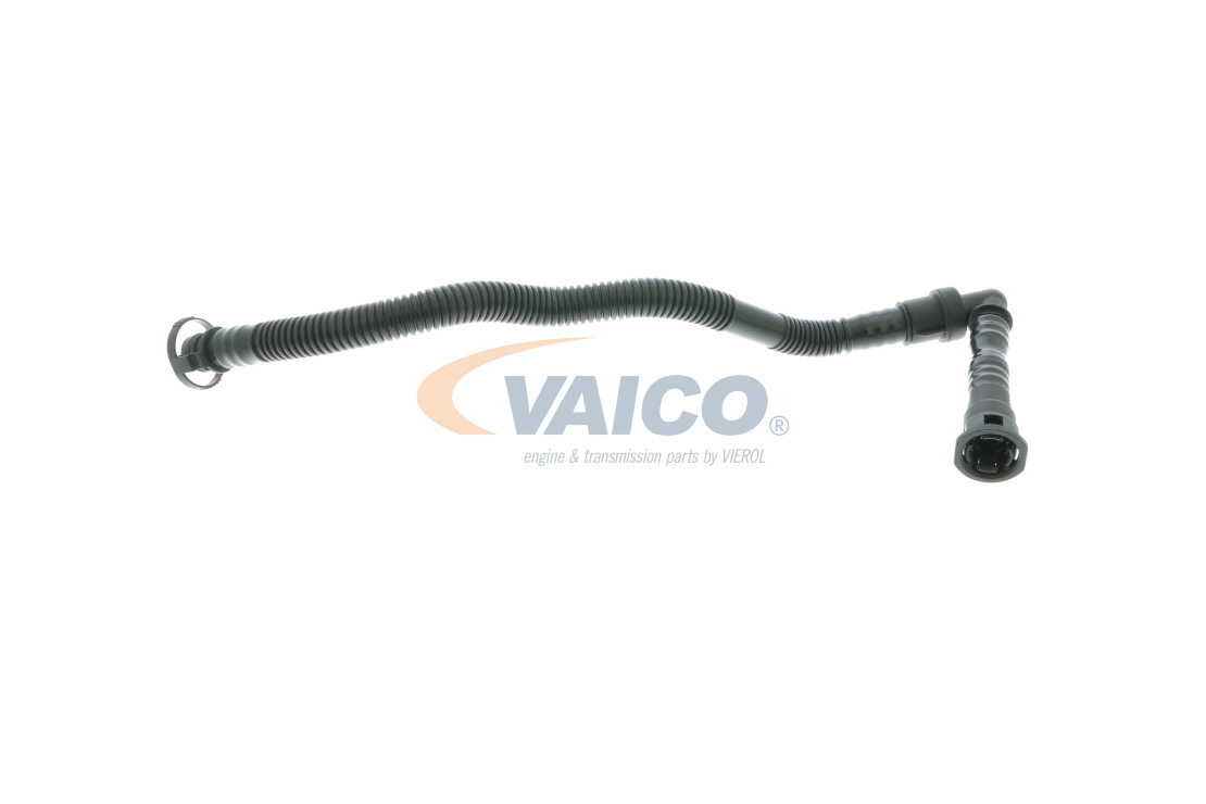 V20-1800 VAICO 7513903 Crankcase breather hose
