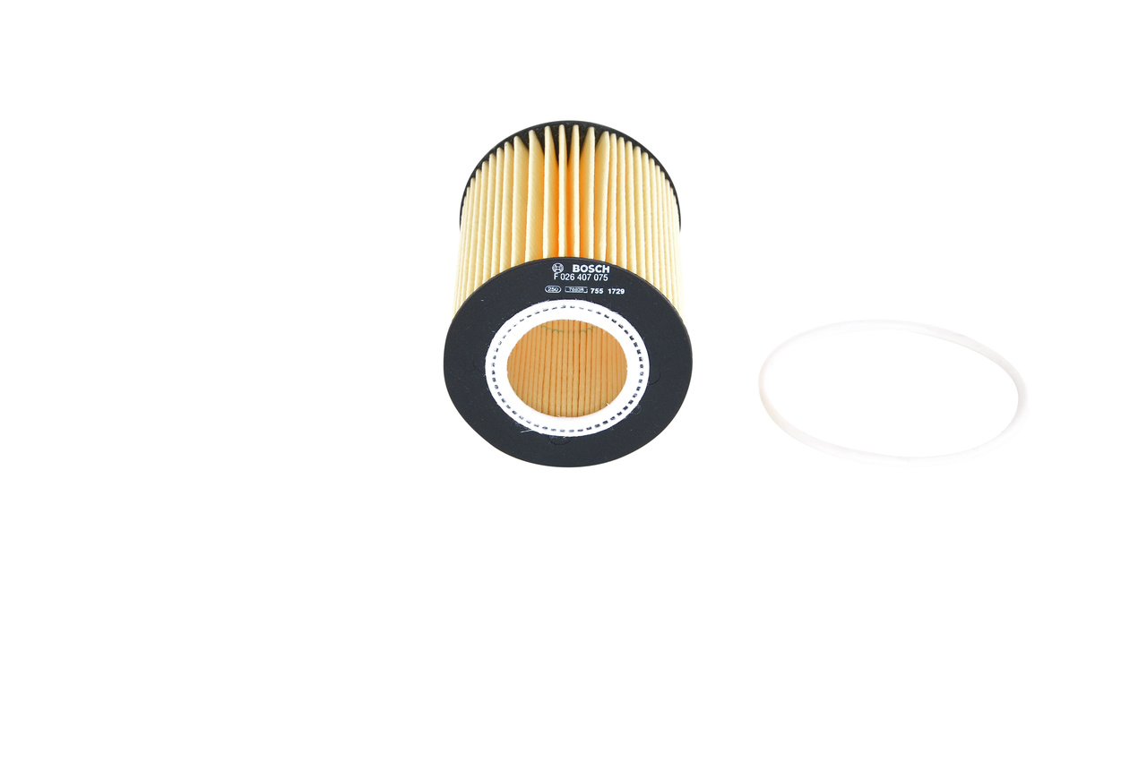 OEM-Nummer 30 750 013 - Ölfilter F 026 407 075 BMW, VOLVO, LAND ROVER