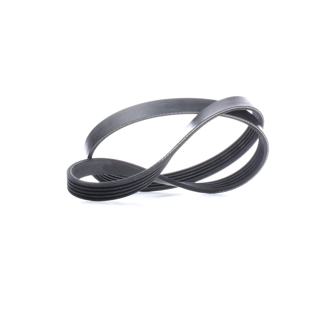 Correia trapezoidal estriada 39783 FEBI BILSTEIN OPEL Astra F Caravan (T92) 1.6 i (F35, M35) 1994 71 cv