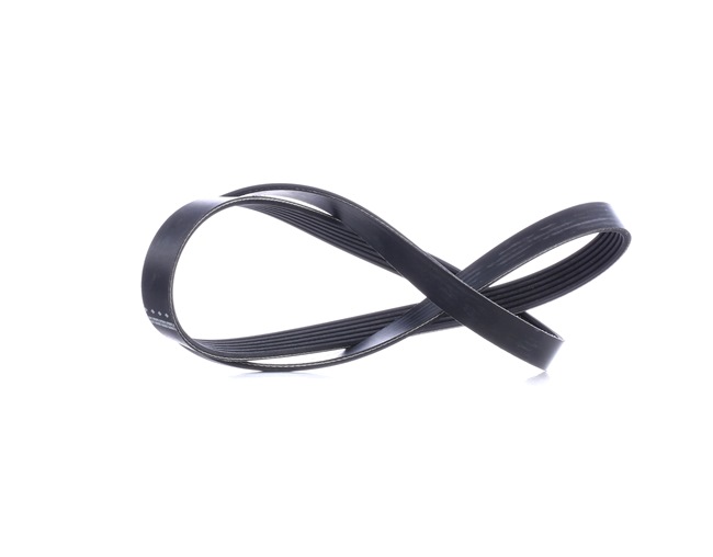 order FEBI BILSTEIN (39790) Serpentine belt