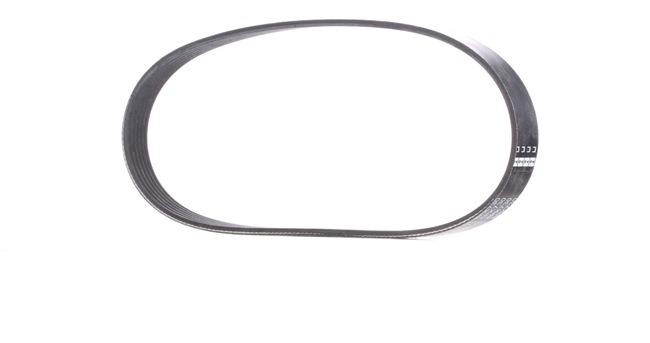 buy FEBI BILSTEIN (39800) Serpentine belt