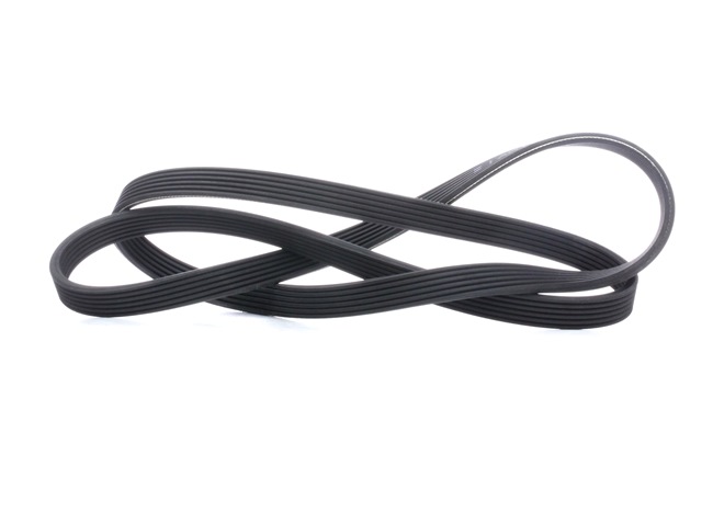 Correia trapezoidal estriada 40712 FEBI BILSTEIN BMW 5 Touring (E61) 520 d 2009 177 cv