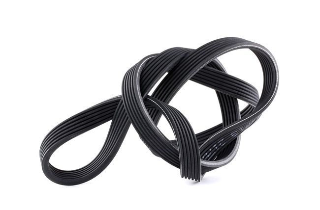 order FEBI BILSTEIN (40713) Serpentine belt